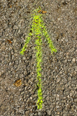 Yellow graffiti arrow