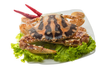 Red crab