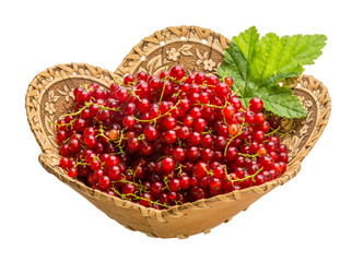 Red currant