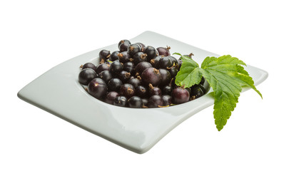 Black currant
