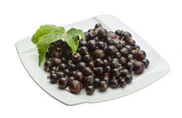 Black currant