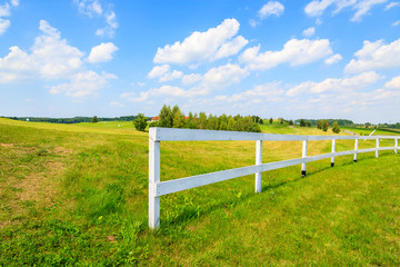 Fototapeta premium White fence on green field on sunny summer day, Poland