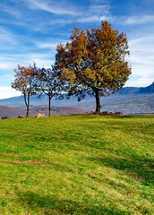 couleurs  d'automne