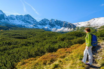 Fototapeta na wymiar Woman tourist on hiking trail in Tatra Mountains, Poland