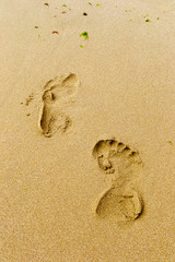 Footprints
