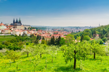 Fototapeta na wymiar View over Prague from Strahov Monastery