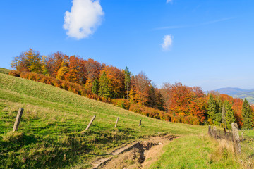 Naklejka premium Countryside road in autumn landscape, Pieniny Mountains, Poland