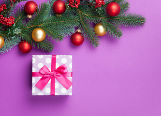 gift box and pine branches on violet background.