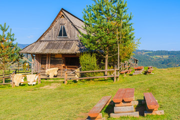 Bench on green meadow and hut in Pieniny Mountains, Poland