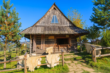 Fototapeta premium Sheep fur for sale in front of hut in Pieniny Mountains, Poland