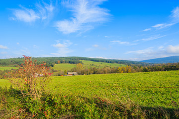 Fototapeta na wymiar Green meadow in autumn landscape, Beskid Niski Mountains, Poland