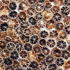 Souvenir dried lemons background