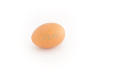 Egg with tracking and expire date