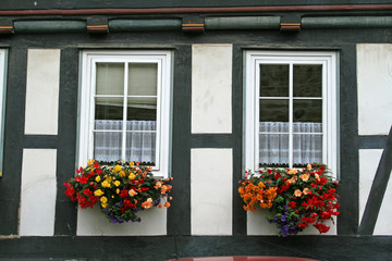 Fenster in Melsungen