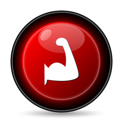 Muscle icon