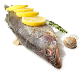 Fresh fish with ice and lemon isolated on white