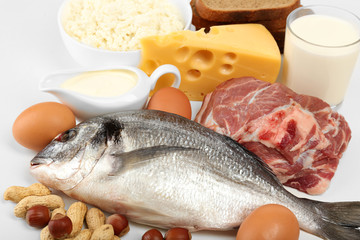 Food high in protein close-up