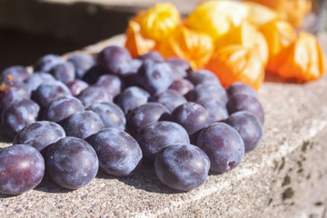 Plums