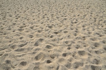 砂浜