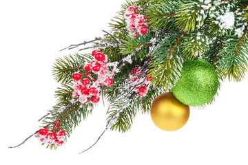 Christmas fir tree branch with holly berry and baubles