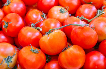 photo of very fresh tomatoes