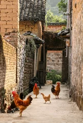 Gordijnen the village in guilin, china © luckybai2013