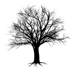 Fototapeta premium tree silhouettes 2014 A5 [Converted]