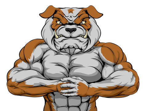 Bring it bulldog mascot