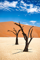 Deadvlei, Sossusvlei,Namibia