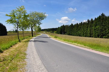 Fototapeta na wymiar Landstraße im Thüringer Wald
