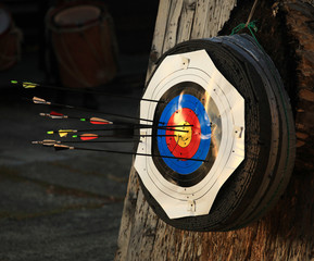Bullseye with many arrows outdoor