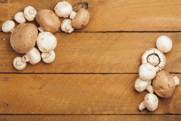 Braune, weisse Champignons, Pilze auf Holz