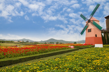 windmill in garden