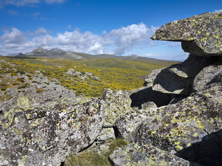 Sierra de la Paramera. Navandrinal. Ávila