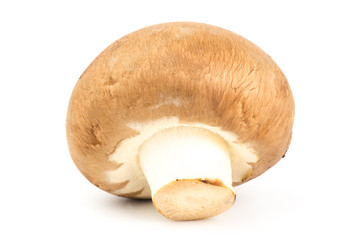 Fresh champignon mushroom