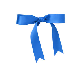 classic blue ribbon bow