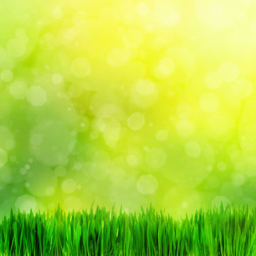 High resolution image of fresh green grass on nature blur.