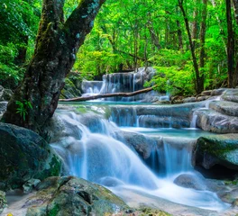 Tuinposter Beautiful waterfall in deep forest © calcassa
