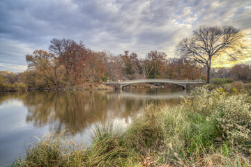 Central Park, New York City