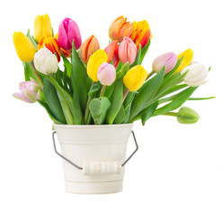 bouquet of multicolored   tulip flowers in white pot