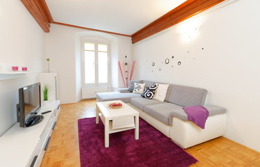 Modern living room with wood floor