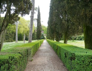 The park of the Emo villa in Fanzolo di Vedelago