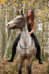 Obraz na płótnie Canvas Young girl with appaloosa horse in autumn
