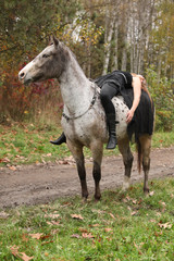 Fototapeta premium Young girl with appaloosa horse in autumn