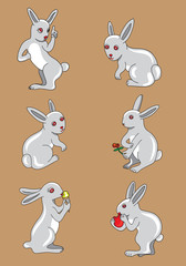 Rabbit set, art vector illustration