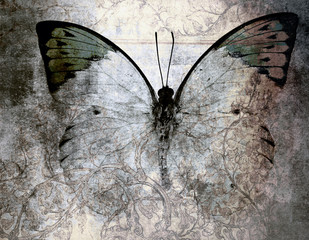 Obrazy na Szkle  motyl
