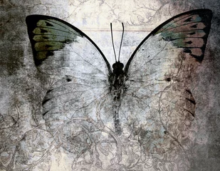 Keuken foto achterwand Grunge vlinders vlinder