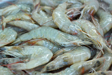 Fresh shrimp in the market