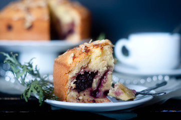 Viennese cake with blueberries