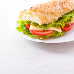 Fresh and tasty sandwich